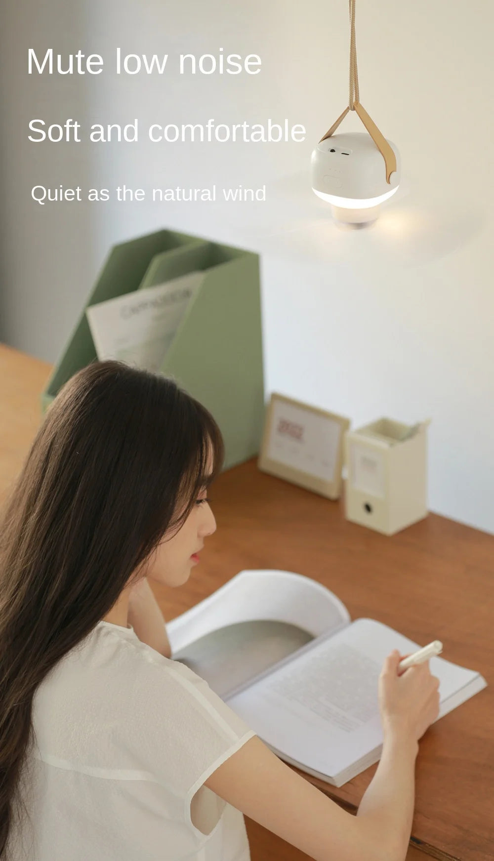 SnapBreeze Portable Fan Light